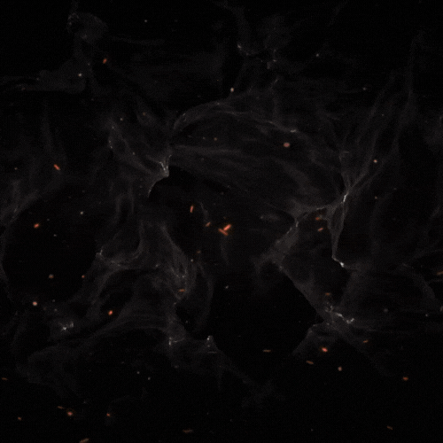 Bild kann nicht geladen werden.